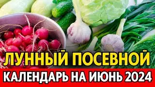 Когда сеять, сажать в ИЮНЕ? Лунный посевной календарь на июнь 2024, календарь огородника