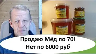 Цены на покупку, продажу мёда от оптовых до мёда из 