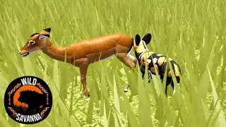 LIFE OF A WILD DOG HUNTING GAZELLE! Wild Savannah Roblox