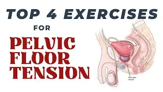 Top 4 Exercises for Pelvic Floor Tension