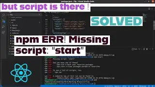 npm ERR! Missing script : "start" | but start script is present | SOLVED in React