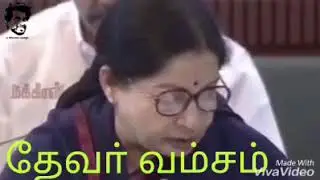 JJ madam