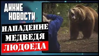 Жена сдала мужа охотника/Медведь растерзал женщину/Бобры захватили Томск/Дикие новости