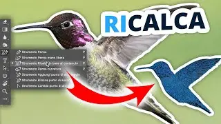 RICALCA le IMMAGINI (strumento BETA) - Photoshop Masterclass