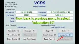 VAG VW EGR Delete by VCDS Adaptation