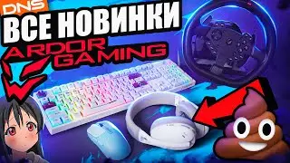 Все Новинки ARDOR GAMING с DNS и Что Такое OEM ? Бюджетный набор геймера Клавиатура, мышка, наушники