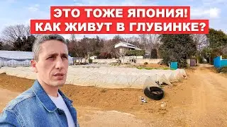 Повседневная Жизнь в Японской Глубинке: От Полей до Подворий