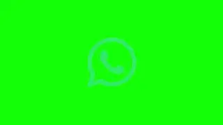 Hand Drawn WhatsApp Logo Green Screen