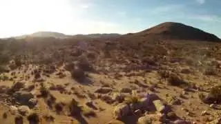 Flight
