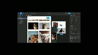 unsplash plugins in figma for image