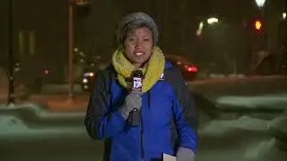 WXMI FOX 17 News - 2017-12-13 Battle Creek Police Looking For Suspect That Stole Christmas Lights