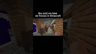 Minecraft Meme