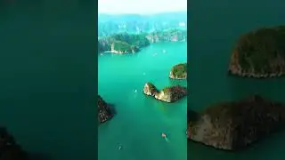 Edit | Sea | Mountain | Forest #edit