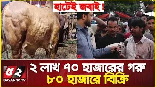 ২ লাখ ৭০ হাজারের গরু ৮০ হাজারে বিক্রি | বাধ্য হয়ে হাটেই জবাই | Cow Haat | Aftabnagar Gorur Haat