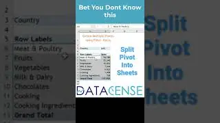 Split Pivot Table into multiple sheets 