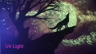 Howling Wolf