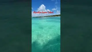 Paradise- Saona Island- Punta Cana- Turquoise Waters- Beach Life