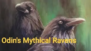 Odin's Mythical Ravens: Huginn and Muninn - Norse Mythology Explained