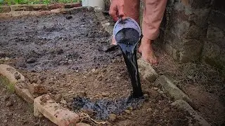 Transform Dead Soil to Rich Garden Bed Soil in Just a Few DAYS! Here’s How!