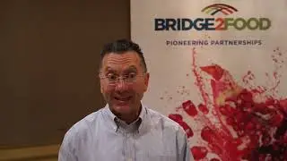 Summit America - Erhan Yildiz, Paragon Pure