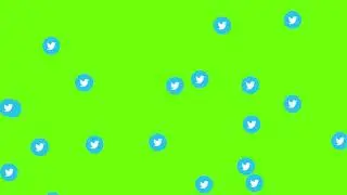 Twitter Icon Green Screen | Twitter Icon Animation | Social Media Icons Green Screen | Siddam Bharat