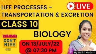 Life Processes Class 10 | Transportation | Excretion