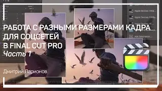 Проблема разных форматов. Работа с разными размерами кадра для соцсетей в Final Cut Pro. Д. Ларионов