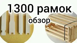 ПРИВЕЗЛИ 1300 РАМОК. КАК НАТЯНУТЬ ПРОВОЛКУ В РАМКЕ. РАМКА 145. BEEKEEPING. BEE. ПЧЕЛОВОДСТВО. ДАДАН.