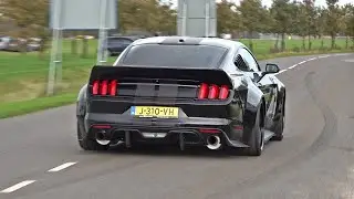 BEST OF FORD MUSTANG SOUNDS! Shelby GT500, Alphamale Widebody, GT350, RTR Widebody, Royal Crimson GT