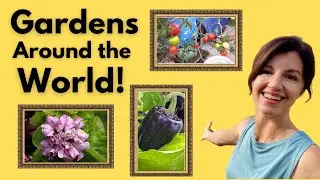 Celebrating Your Gardens! Garden Showcase 2023