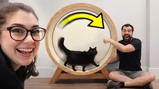 A small change made our cat wheel SO much better!