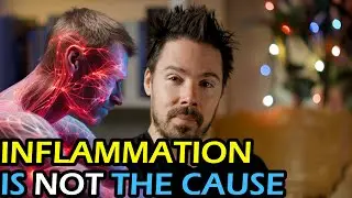 How to Lower Inflammation: (Are YOU God? Law of Attraction, Fasting)