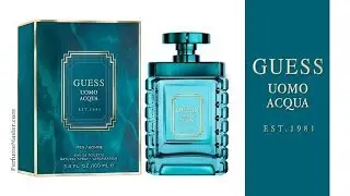 Guess Uomo Acqua New Guess Fragrance