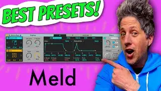 Ableton Meld - my Favorite Presets (Ableton Live 12)