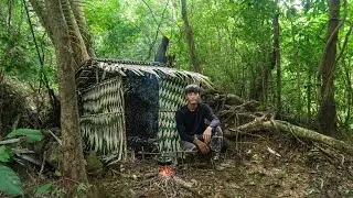 2 DAYS SOLO SURVIVAL: (NO FOOD, NO WATER)Survival Shelter Under a Tree by the Stream, Catch and Cook