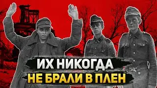 Почему венгров и ССовцев никогда не брали в плен? | Великая Отечественная война