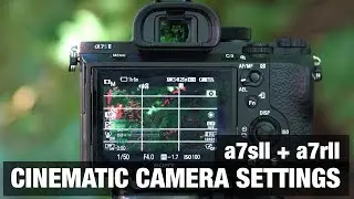 Best CINEMATIC Camera Settings 🎥 Sony a7sII + a7rII - Filmmaking Tutorial