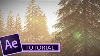 HOW TO CREATE A FOREST IN AFTER EFFECTS WITH ELEMENT 3D