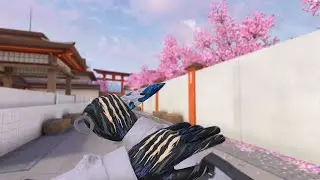 Gloves "Year Of The Tiger" & Kunai "Augustite" Gameplay