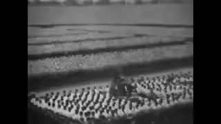 Nun laßt die Fahnen fliegen (1938)