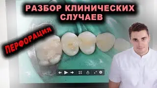 Индивидуальный курс. Разбор клинических случаев