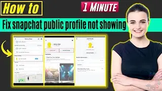 Fix snapchat public profile not showing 2024