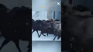 2022 - пока 👋 2023 привет 🎄 