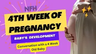 4th Week Of Pregnancy - Baby Development | 4th Week of Pregnancy