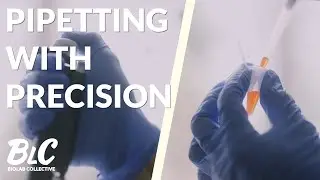 Pipetting with precision - how to minimise experimental error