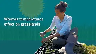 Basics2Breakthroughs: Warmer temperatures effect on grasslands