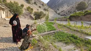 Exciting nomadic life in the middle of the mountains and the colors of Garmsir village 🌻