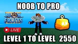 Noob To Pro Blox Fruit Lvl 1 to Max Level Using Budha Fruit 2550 (Live)