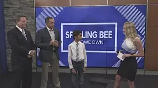 A W-Q-A-D spelling bee showdown!