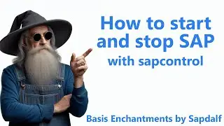 Starting and stopping SAP with sapcontrol